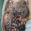 Leopard #4