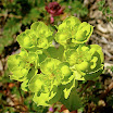 DSCN4942.JPG