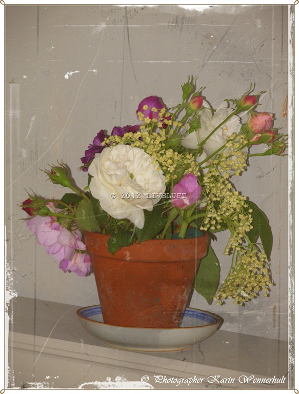 [1-P1016224RCrm7.jpg]