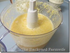 fresh pineapple sorbet - The Backyard Farmwife