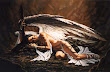 Hot Angel Dance