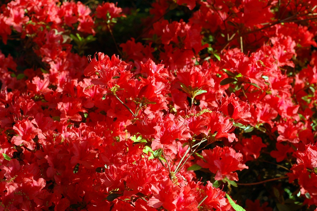[DSC_0710%255B3%255D.jpg]