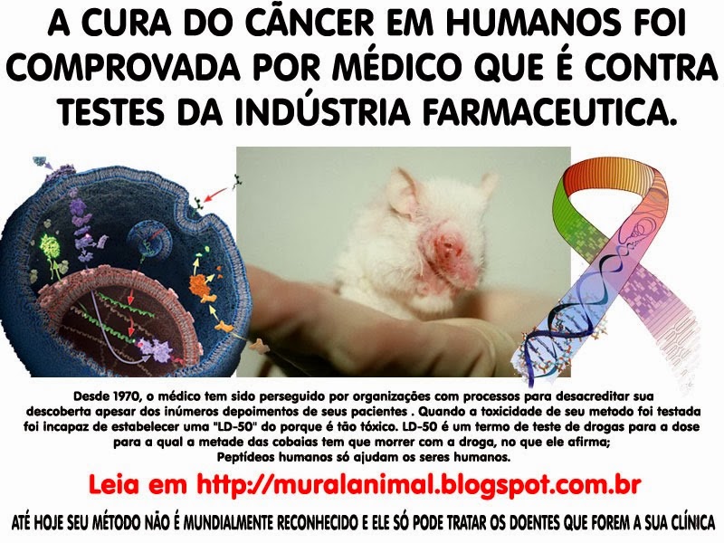 [animais_cura_cancer%255B3%255D.jpg]