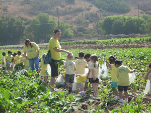Walking through Underwood Family Farms!