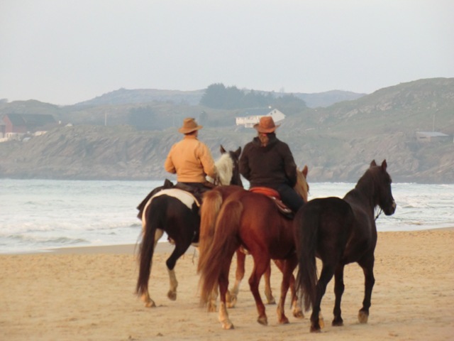 [november420110133.jpg]