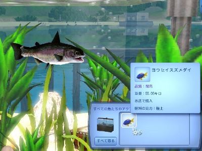[FishTrophies-Aquarium%255B2%255D.jpg]