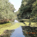 DSCN2940.JPG