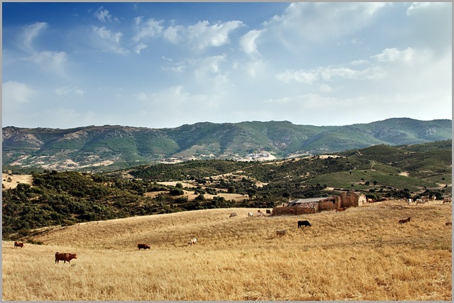 Huertezuelas