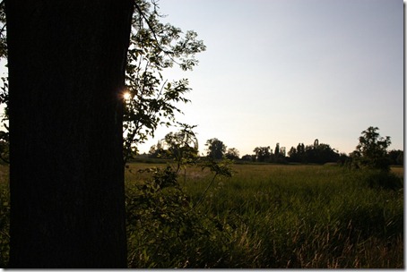 natuur