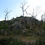 P1010579.JPG
