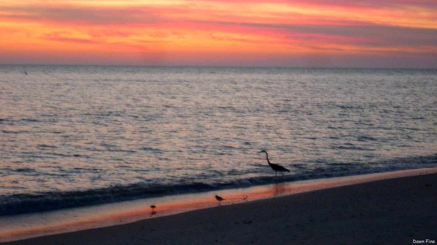 [Sunset-walk-Bowmans-beach_0406.jpg]