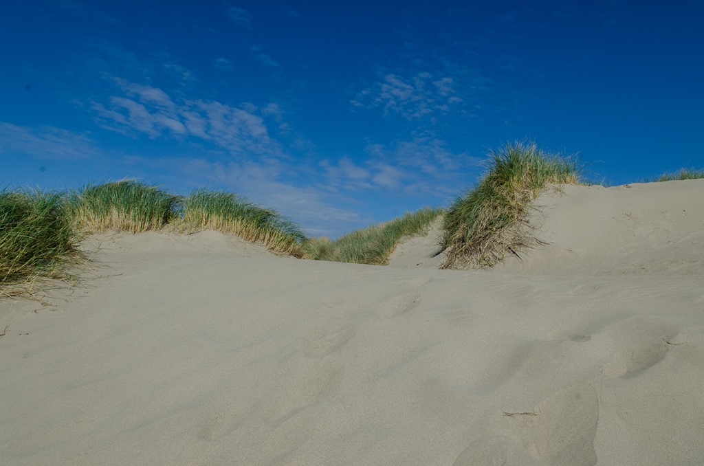 [camping%2520at%2520Honeyman%2520%252817%2520of%252054%2529%255B2%255D.jpg]