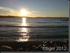 IMG_0269 IMG_0269