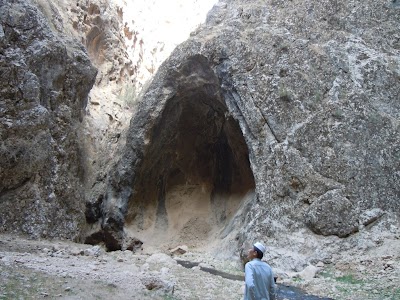 DSCN4033.jpg