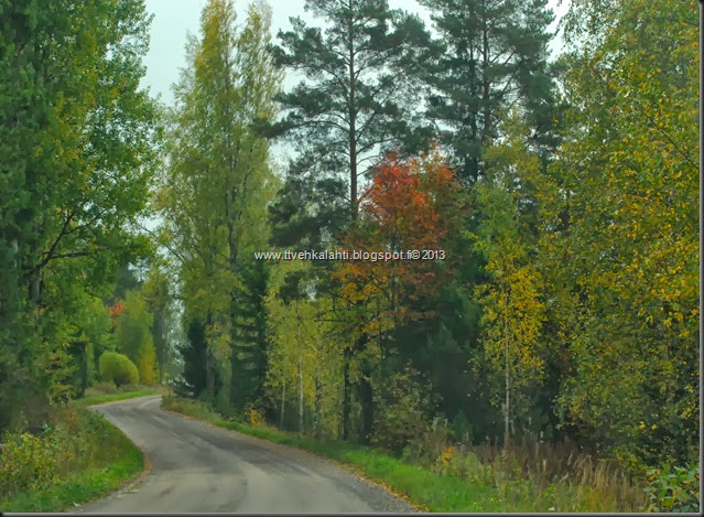 sienimetsällä 069 sienimetsällä 069