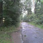 2012-08-06 17.31.09.jpg