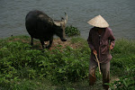 Hue, Vietnam 871.JPG