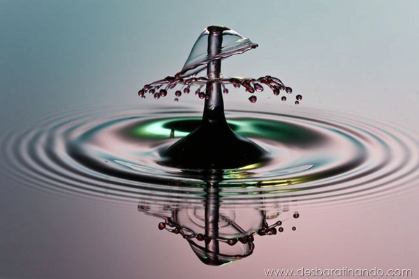liquid-drop-art-gotas-caindo-foto-velocidade-hora-certa-desbaratinando (118) liquid-drop-art-gotas-caindo-foto-velocidade-hora-certa-desbaratinando (118)