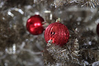 I love these shatterproof ornaments, don't you, Francesca?  They're from Martha's Home Depot line.