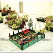 Horticulture 007.jpg