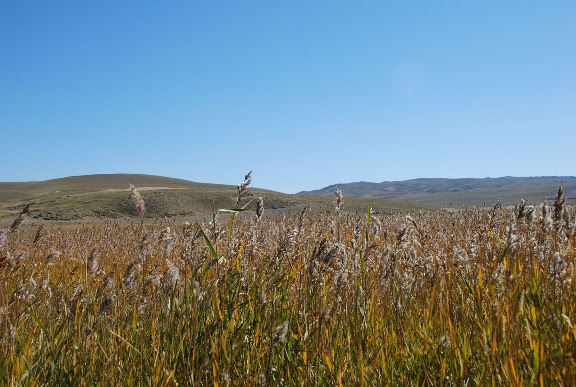 Tianshan- Paysage prairie