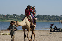 DSC05898.JPG