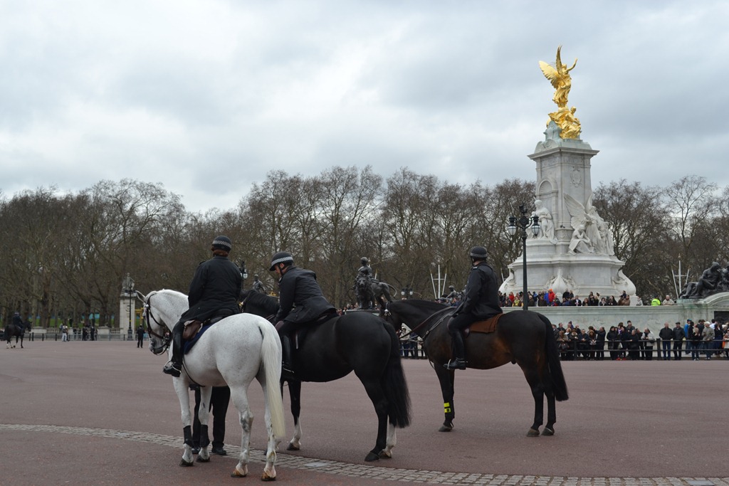 [DSC_0620%255B3%255D.jpg]