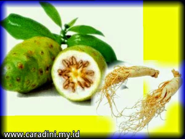 obat kencing manis obat kencing manis