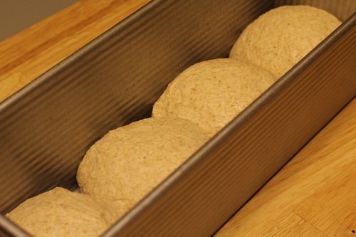 [whole-wheat-toast_011%255B5%255D.jpg]