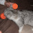 CIMG0090.JPG