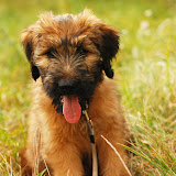 Abi - DSC_0249.JPG