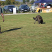 IMG_3115.JPG