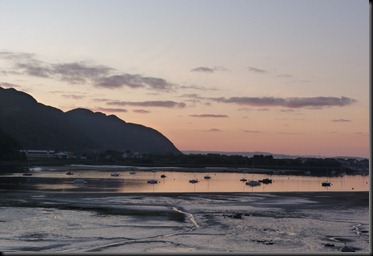 estuary 058