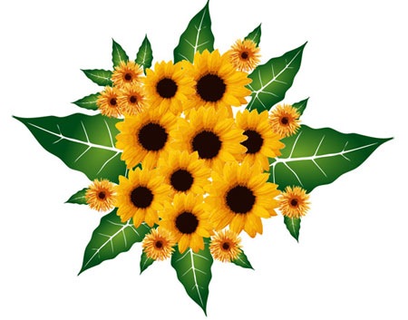 [Sunflower-Vector5.jpg]