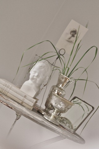 IMG_5559 IMG_5559