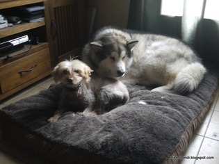 Munson & César