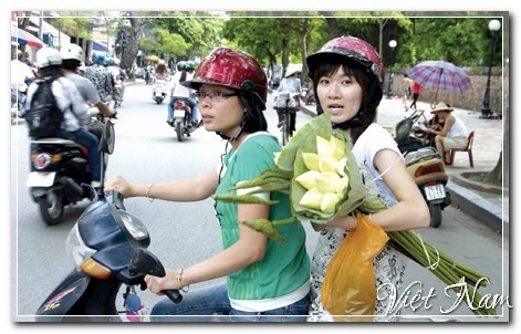 Hoa Sen, Việt Nam