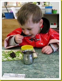 IMG_4255 IMG_4255