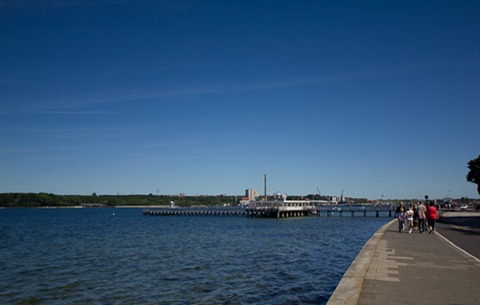 IMG_4394 IMG_4394