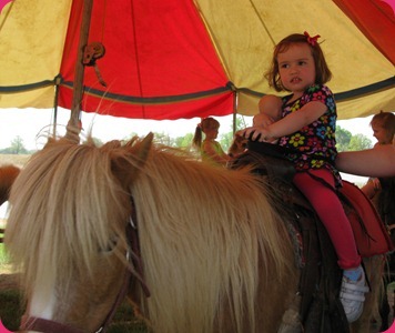 IMG_2026 IMG_2026