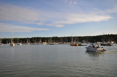 DSC_0082.jpg DSC 0082