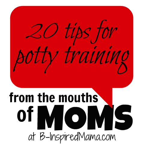 [From%2520the%2520Mouths%2520of%2520Moms%2520Potty%2520Training%255B2%255D.png]