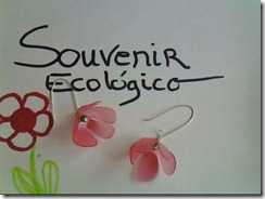 souvenir_ecologico (18)