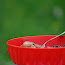 _DSC4616.jpg