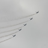 IMG_4299.JPG