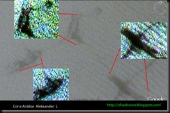 anomalia (26) anomalia (26)