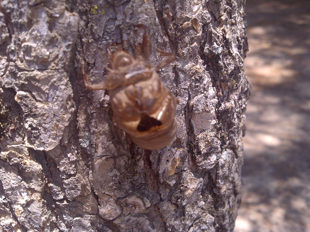 [IMG-20110614-00936%255B3%255D.jpg]