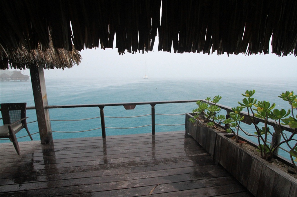 [IMG_09023.jpg]
