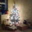 Merry Christmas in Mississauga