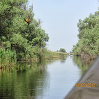 IMG_7610.JPG